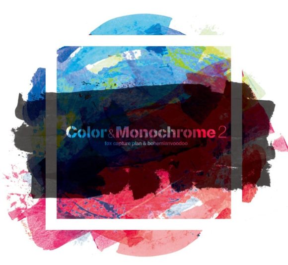 fox capture plan"Color & Monochrome 2"